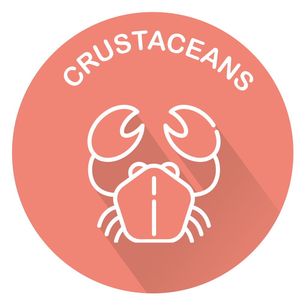 crustaceans icon