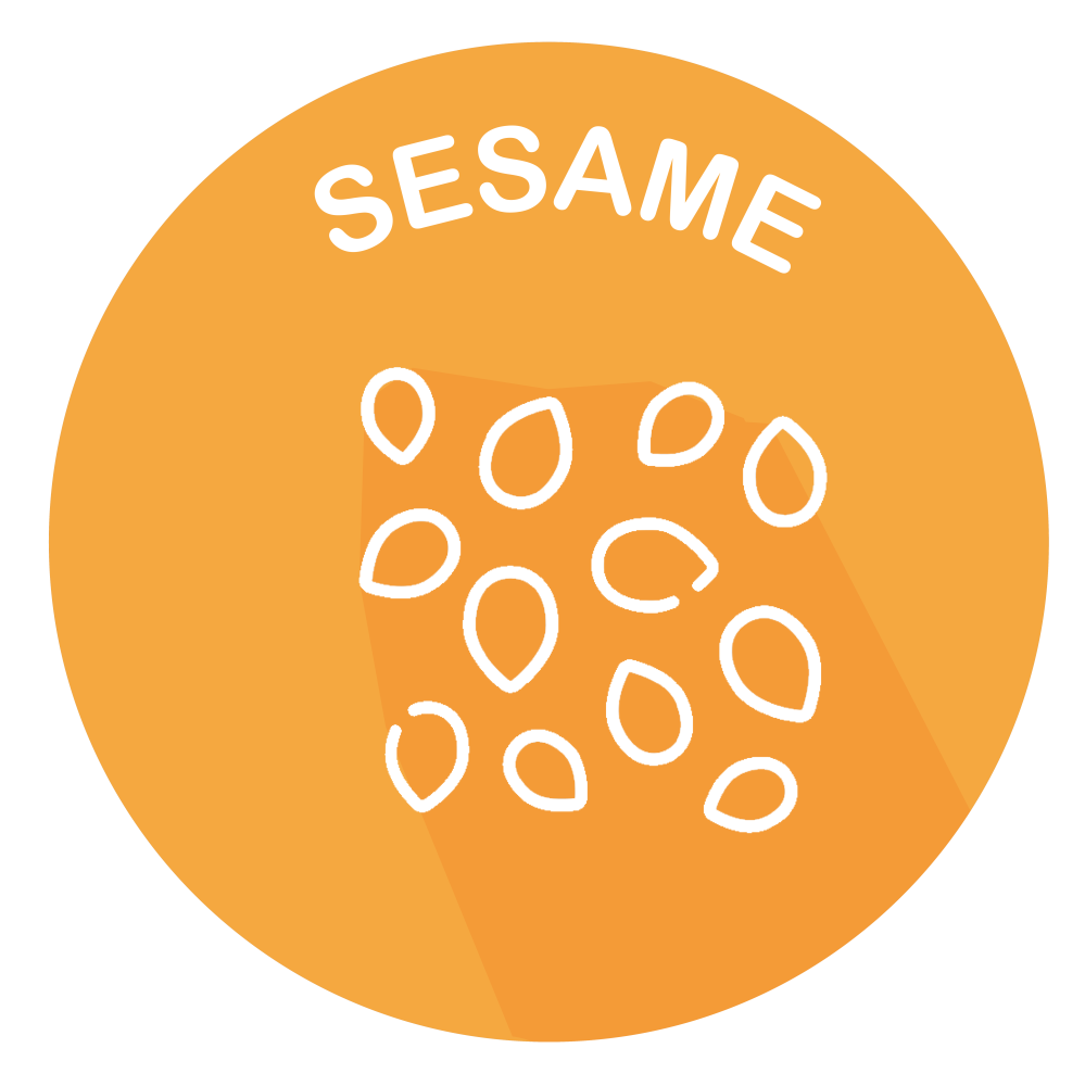 sesame icon