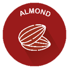 almond icon