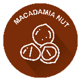 macadamia nut icon