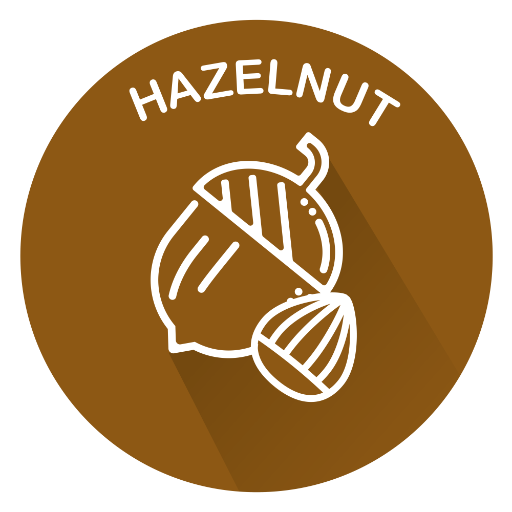 hazelnut icon