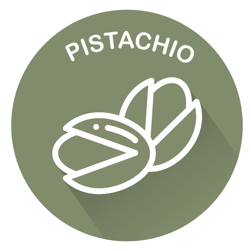 pistachio icon