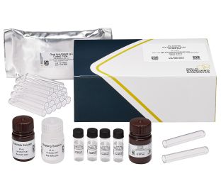 2,4-D, Coated Tube ELISA, 40 tests