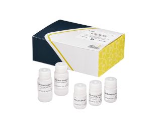 AbraMag Genomic DNA Magnetic Purification Kit, 100-test