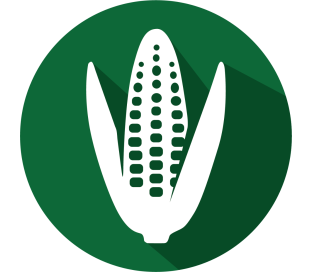 GMOQuant (LR) Event MIR162 Corn