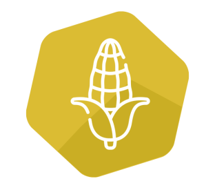 Cry3Bb LFS kit for Corn bulk grain ( 0.2 %)