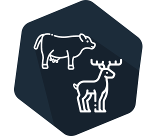 INgezim® EHDV Compac 192 tests