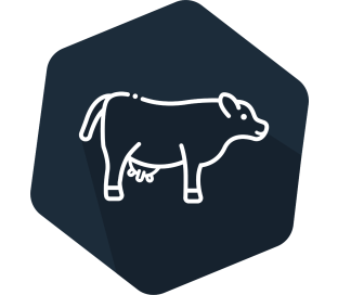 VetLine Bovine Haptoglobin 96 tests