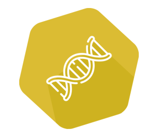 INgene® q Atypical Porcine Pestivirus