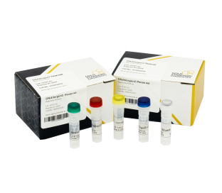 DNAllergen2 Pecan nut