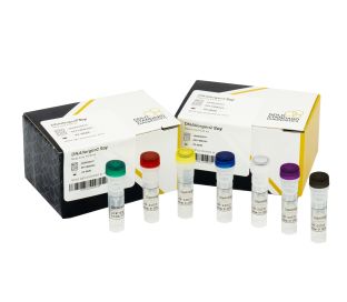 DNAllergen2 Soy