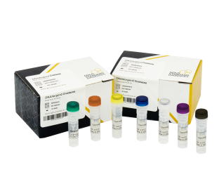 DNAllergen2 Crustacea