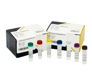 DNAllergen2 Macadamia nut