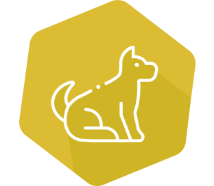 Canine INgezim® PLEX Food Sensitization kit