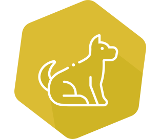 INgezim Leishmania VET