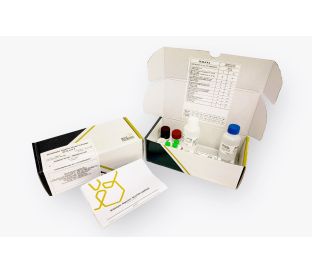 SENSISpec INgezim Gluten COMPAC 96 wells