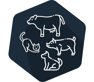VetLine TBE/FSME 96 tests