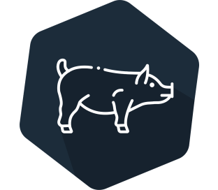 INgezim PEDV 480 tests