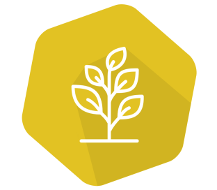SpeciesIdent RT IPC (LR) Rapeseed