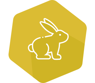 INgezim Myxomatosis 192 tests