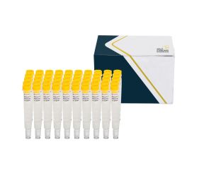 SENSIColumn IAC Vitamin B12