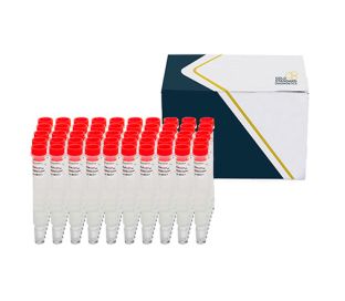 SENSIColumn IAC Aflatoxin Total