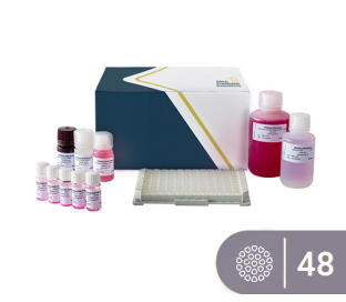 SENSISpec ELISA Buckwheat 48 Wells