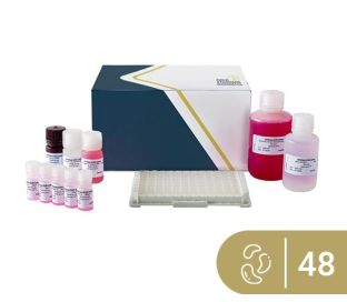 SENSISpec ELISA Cashew 48 Wells