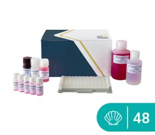 SENSISpec ELISA Molluscs (Tropomyosin) 48 wells