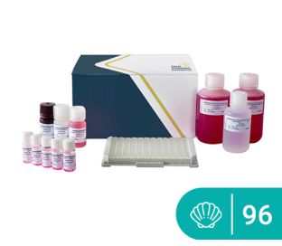 SENSISpec ELISA Molluscs (Tropomyosin) 96 wells
