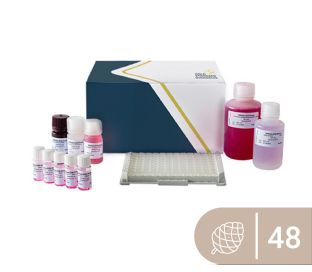 SENSISpec ELISA Pine nut 48 Wells