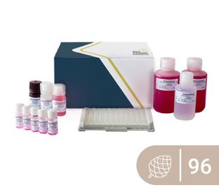 SENSISpec ELISA Pine nut 96 Wells
