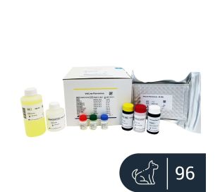 VetLine Canine Parvovirus (CPV) 96 tests