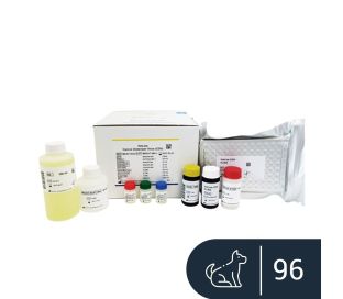 VetLine Canine Distemper Virus (CDV) 96 tests