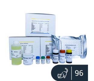 VetLine Feline Immunodeficiency Virus (FIV)