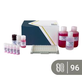 sensispec_elisa_peanut_96-