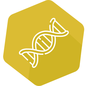 INgene® q Borrelia burgdorferi