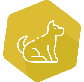 Canine INgezim® PLEX Environmental Sensitization kit