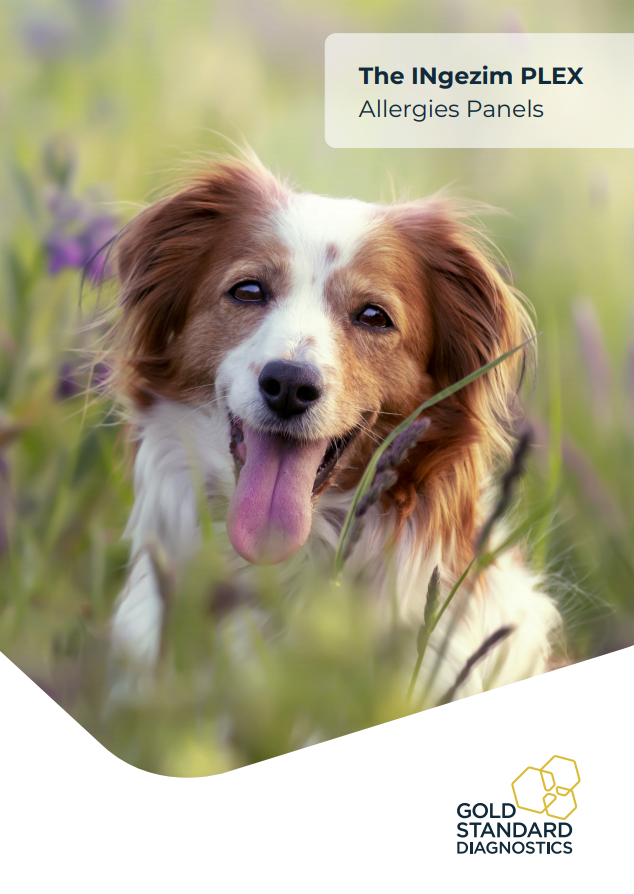 Canine Allergy