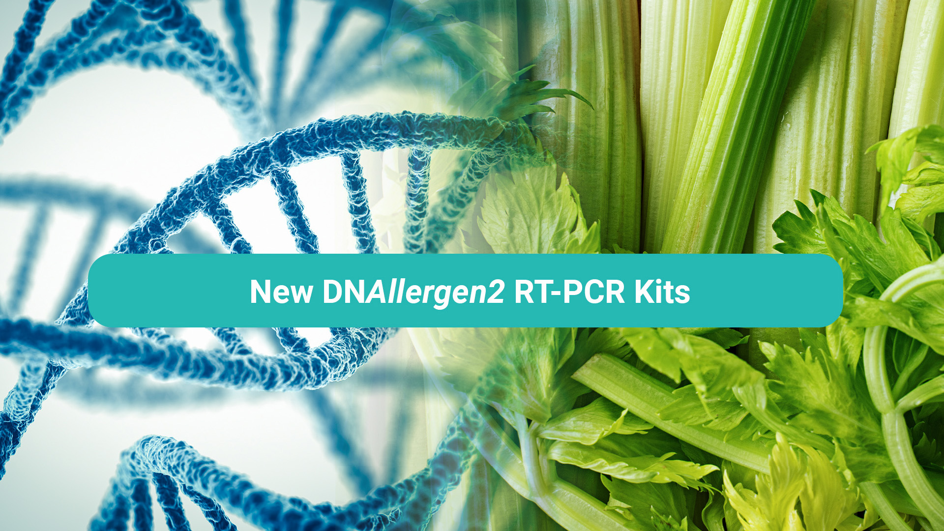 Discover DNAllergen2 &ndash; the new real-time PCR allergen portfolio for enhanced precision in allergen testing!