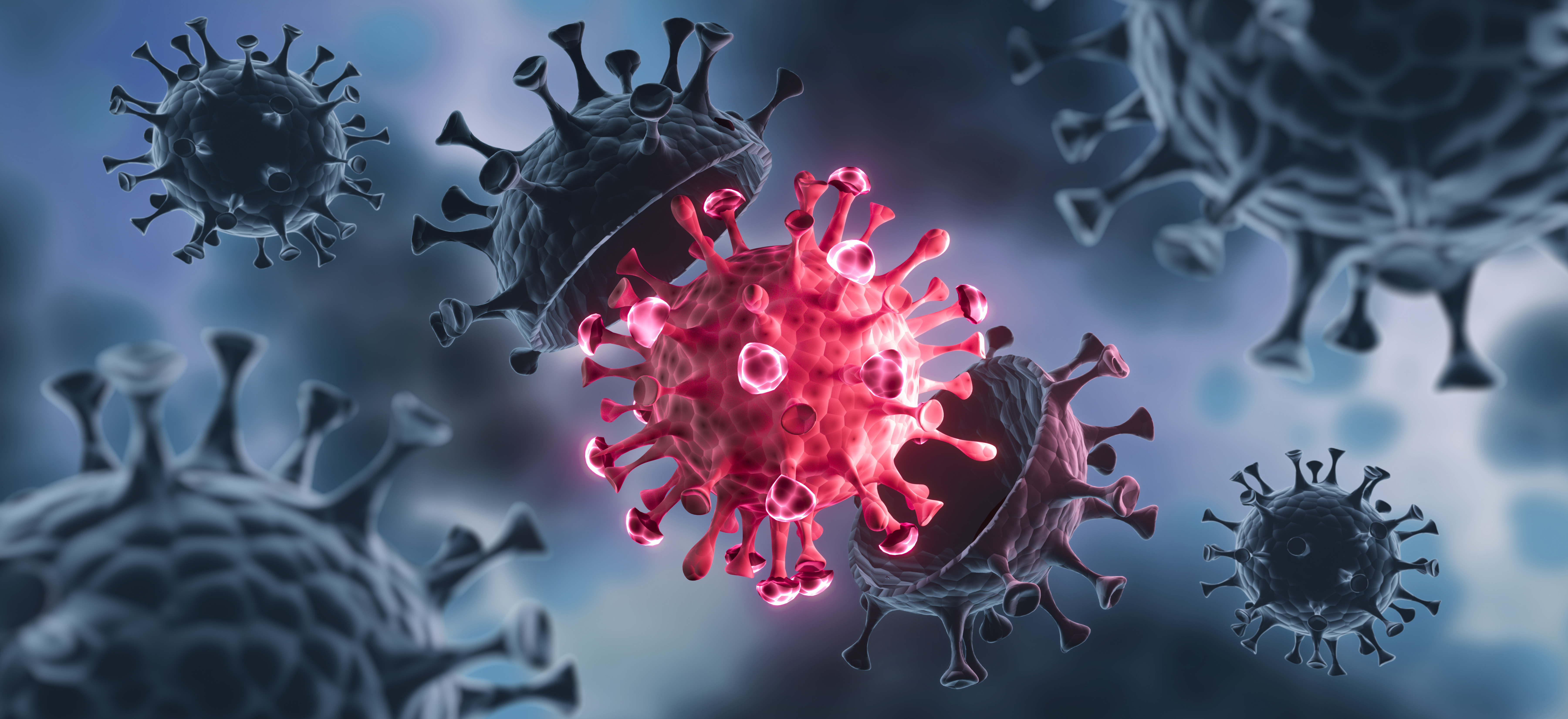 Launch of RT-PCR kits for the rapid detection of the fast spreading SARS-CoV-2 variant Omicron (B.1.1529)