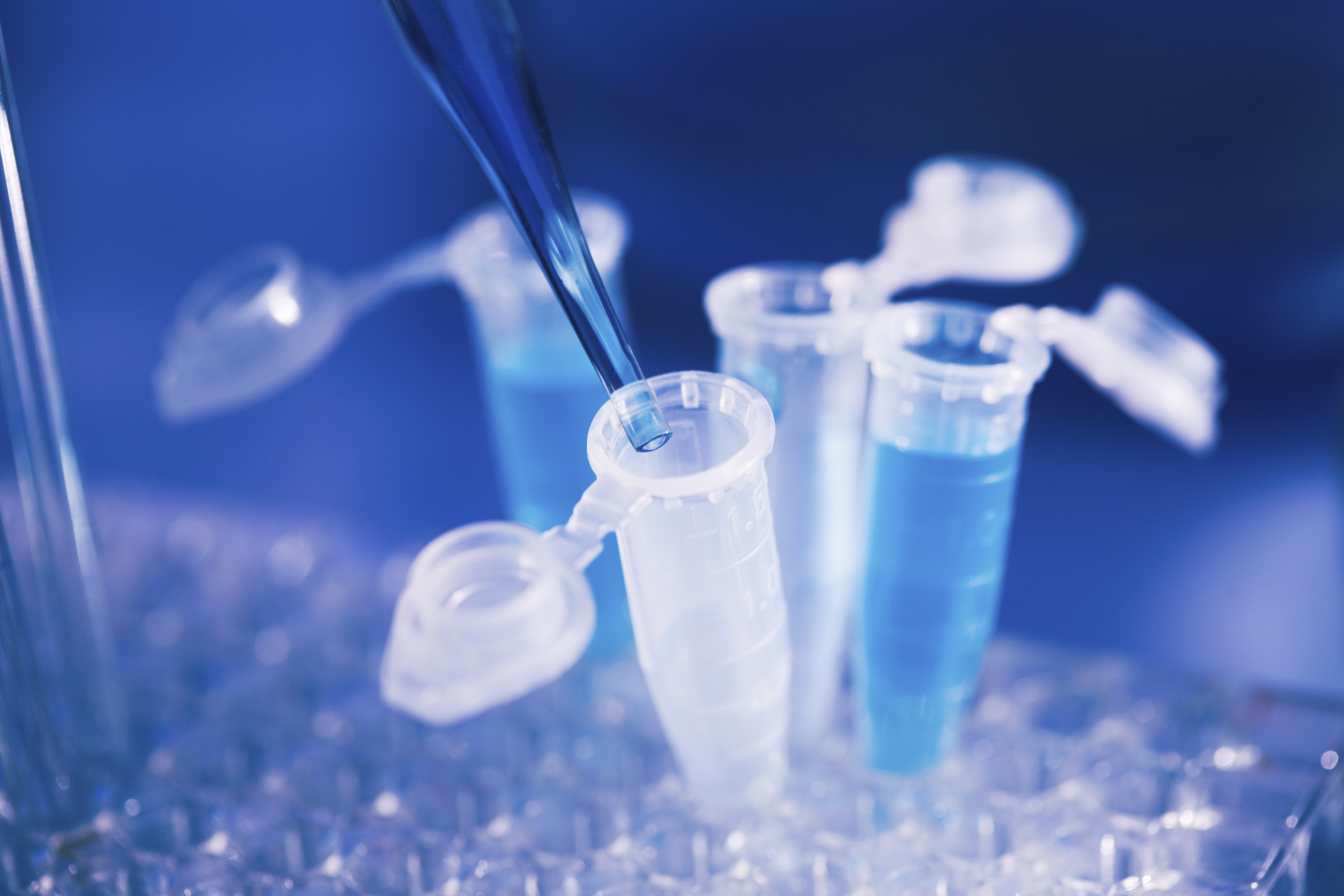 Gold Standard Diagnostics - announces  PCR assay for the detection of the monkeypox and orthopox virus