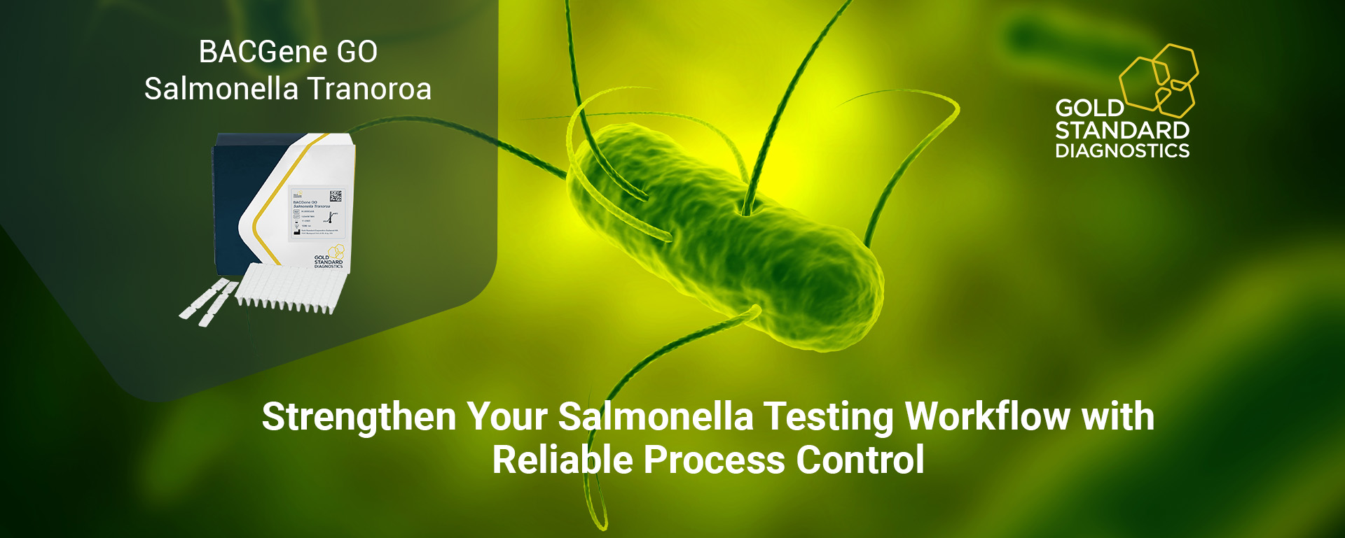BACGene GO Salmonella Tranoroa: Smart Process Control PCR Detection Assay for Reliable Salmonella Testing