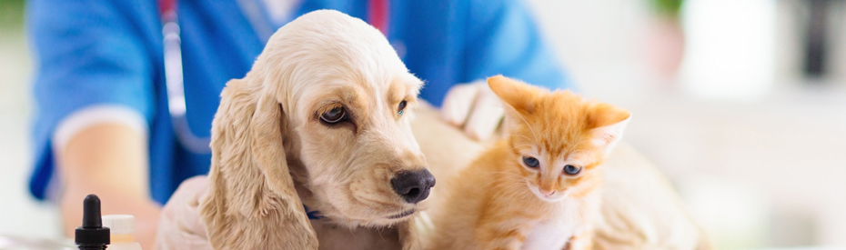 Veterinary Diagnostics - Products Veterinary Diagnostics - Products