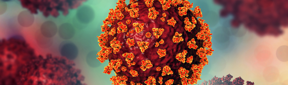 Viruses: SARS-CoV-2