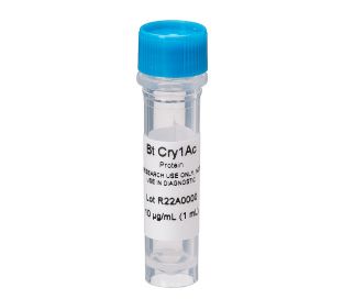 Cry Protein, Cry1Ac, 10 ug