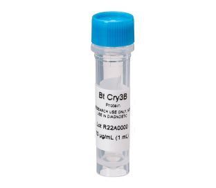 Purified Cry3B protein