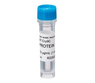 Cry Protein, Cry9C, 10 ug