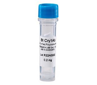 Antibody, Anti-Cry 1Ab, polyclonal (rabbit), 0.2 mg