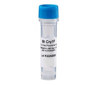 Antibody, Anti-Cry 1F, polyclonal (rabbit), 0.2 mg